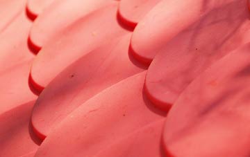 Cosmore plastic roof costs