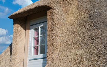 Cosmore thatch roof disadvantages