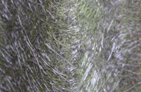 Cosmore fibreglass roof work